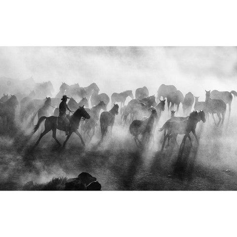Wild Horses White Modern Wood Framed Art Print by Bedir, Mehmet