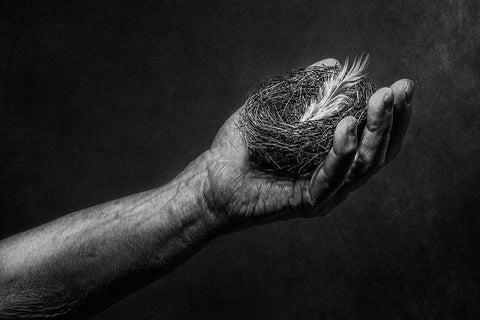 Untitled Black Ornate Wood Framed Art Print with Double Matting by Clough, Stephen