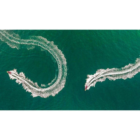 Sea Snake Black Modern Wood Framed Art Print with Double Matting by Kiwan, Jamal