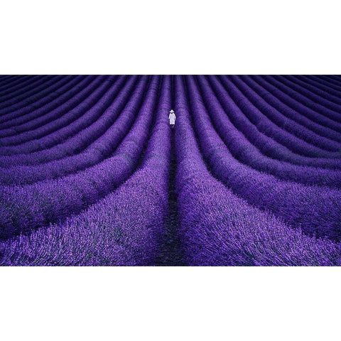 She Black Modern Wood Framed Art Print with Double Matting by De Haro, Lluis