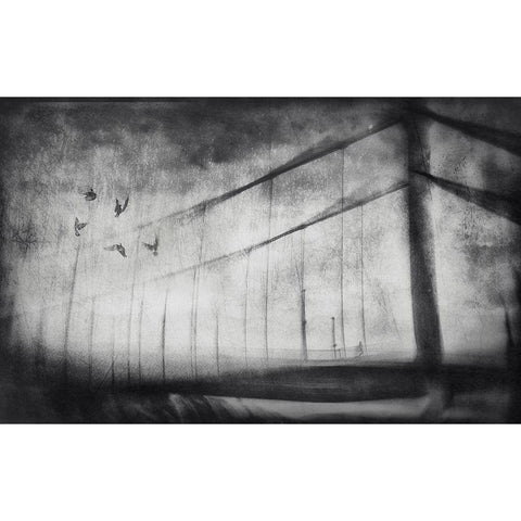 Untitled White Modern Wood Framed Art Print by Lacz, Krisztina