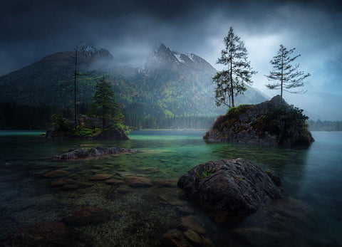 Hinterisland 2. Black Ornate Wood Framed Art Print with Double Matting by Pablo De, Juan