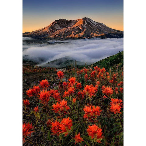 Blooming Black Modern Wood Framed Art Print with Double Matting by Jacobs, Lydia