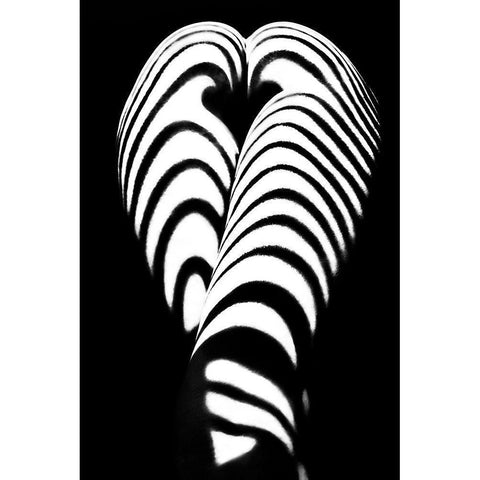 Zebra Ass 2 Black Modern Wood Framed Art Print with Double Matting by Faletkin, Mikhail