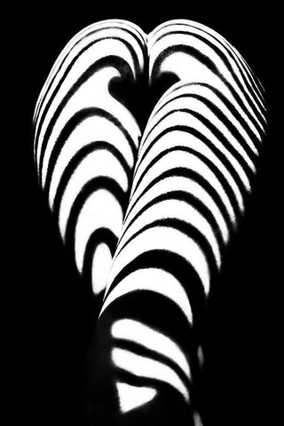Zebra Ass 2 Black Ornate Wood Framed Art Print with Double Matting by Faletkin, Mikhail