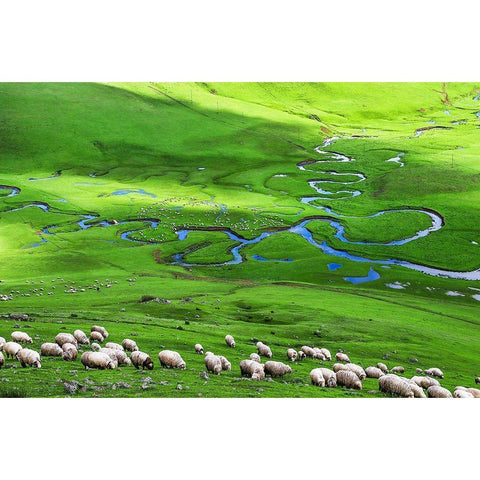 Plateau White Modern Wood Framed Art Print by Uzumcu, Suleyman