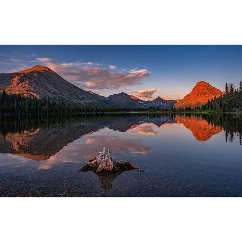 Delightful Dawn White Modern Wood Framed Art Print by Jacobs, Lydia