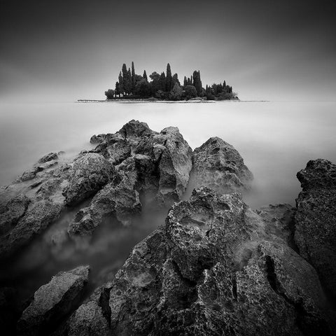 Island Black Modern Wood Framed Art Print by Rericha, Daniel