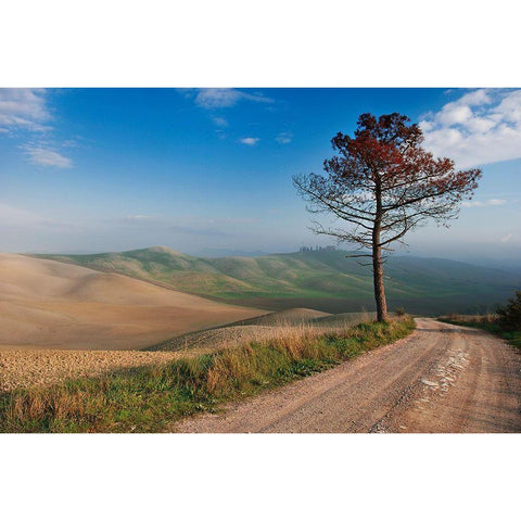 Lonely Tree White Modern Wood Framed Art Print by Kravanja, Jure