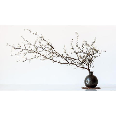 Vase And Branch White Modern Wood Framed Art Print by Prbimages