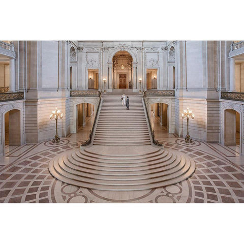 Qi Doq White Modern Wood Framed Art Print by Doyle, Renee