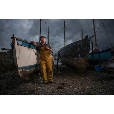 Oyster Catcher Gold Ornate Wood Framed Art Print with Double Matting by Mk