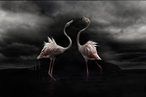 Strong Temperament Black Ornate Wood Framed Art Print with Double Matting by Benezech, Martine