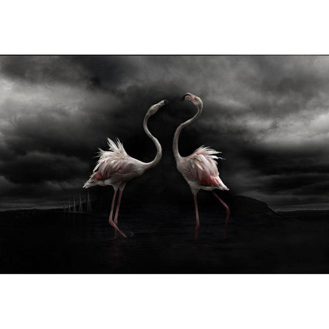 Strong Temperament White Modern Wood Framed Art Print by Benezech, Martine