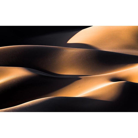 Wave Gold Ornate Wood Framed Art Print with Double Matting by Momeni, Mohammadreza