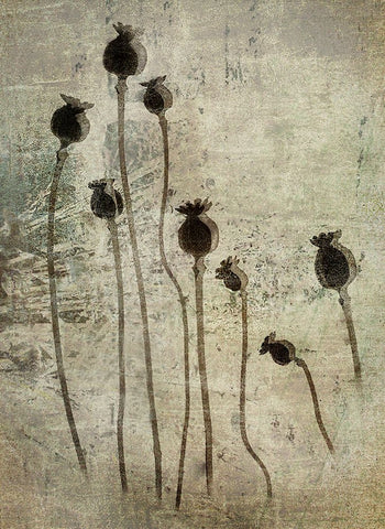 Poppy Seedlings Black Ornate Wood Framed Art Print with Double Matting by Talen, Nel