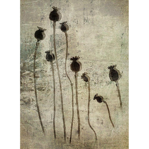 Poppy Seedlings White Modern Wood Framed Art Print by Talen, Nel