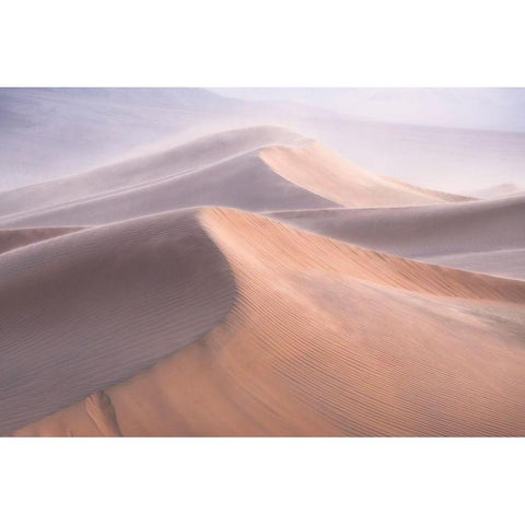 Wind Black Modern Wood Framed Art Print by Cia, Inigo