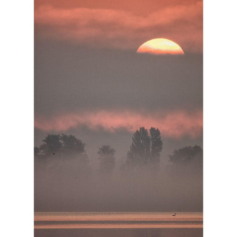 Sun Iii Black Modern Wood Framed Art Print with Double Matting by Hieke, Heinz