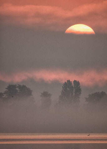 Sun Iii White Modern Wood Framed Art Print with Double Matting by Hieke, Heinz