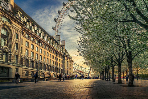 Last Daylights At The London Eye White Modern Wood Framed Art Print with Double Matting by El Assy, Nader