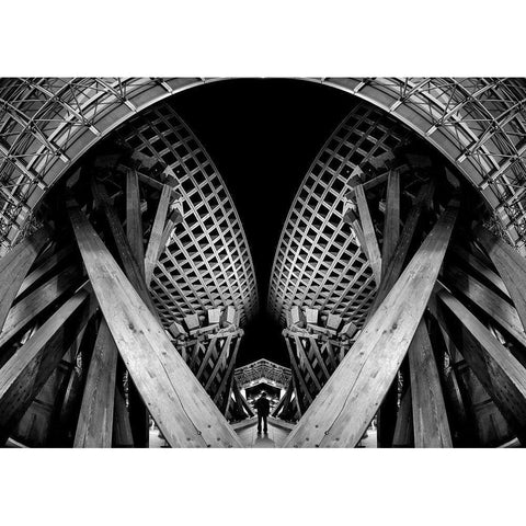 Twist Gate Black Modern Wood Framed Art Print with Double Matting by Tajima, Koji