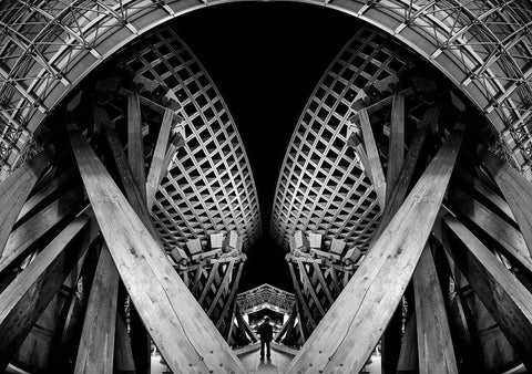 Twist Gate Black Ornate Wood Framed Art Print with Double Matting by Tajima, Koji