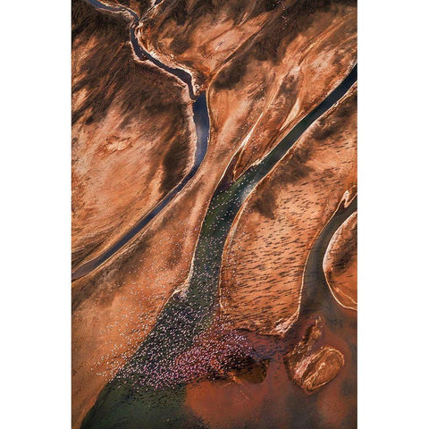 Flying Over Palette Black Modern Wood Framed Art Print with Double Matting by Fan, John