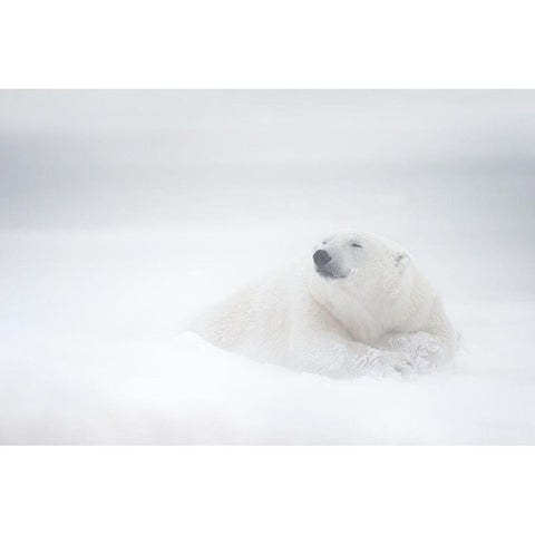 Frozen Thoughts Gold Ornate Wood Framed Art Print with Double Matting by Pozzi, Marco