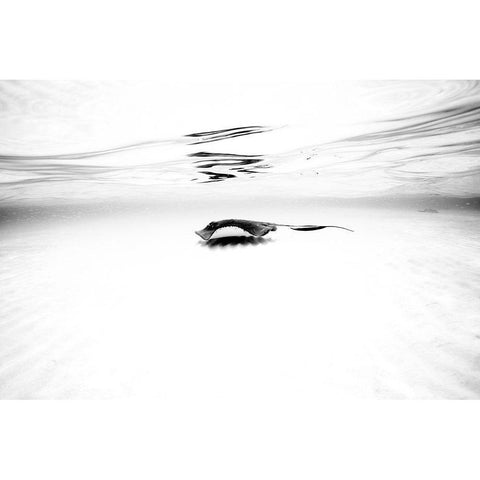 Sandbar Series I Gold Ornate Wood Framed Art Print with Double Matting by Martin De, Natalia