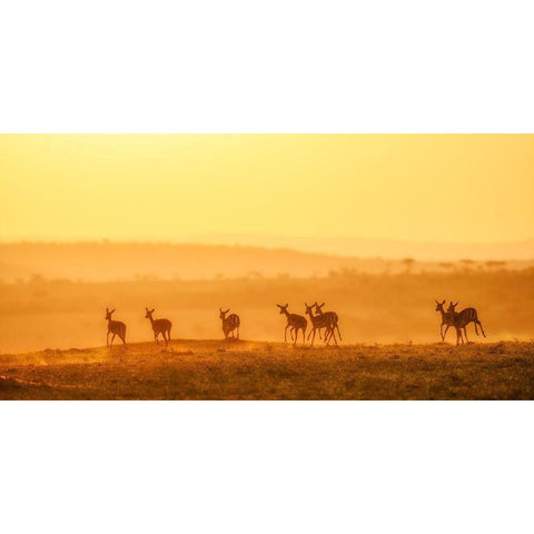 Towards Sunset Black Modern Wood Framed Art Print by Fan, John