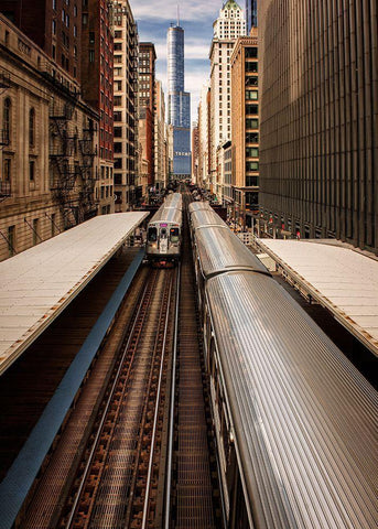 Center Of Attention White Modern Wood Framed Art Print with Double Matting by Kinney, Jon