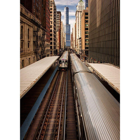 Center Of Attention Black Modern Wood Framed Art Print by Kinney, Jon