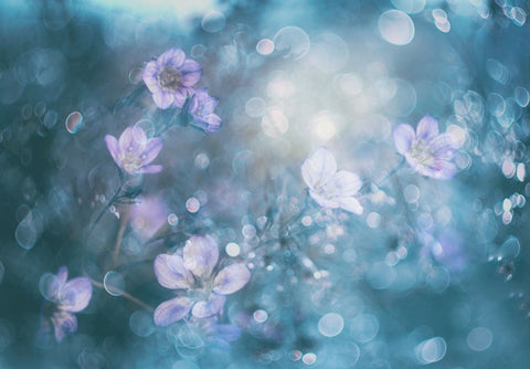 NatureS Jewelry Black Ornate Wood Framed Art Print with Double Matting by Devos, Delphine