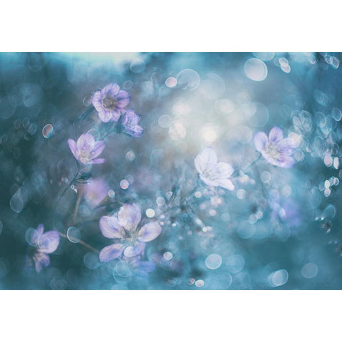 NatureS Jewelry White Modern Wood Framed Art Print by Devos, Delphine