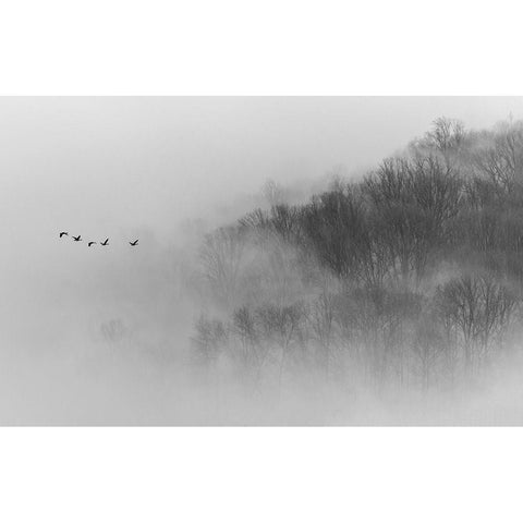 Above Mist White Modern Wood Framed Art Print by Austin, Li Congjun