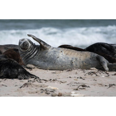 A Headache White Modern Wood Framed Art Print by Bewernick, Erhard