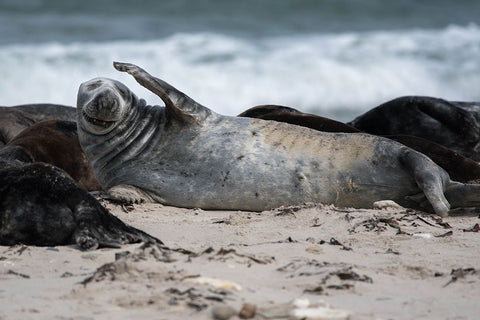 A Headache Black Ornate Wood Framed Art Print with Double Matting by Bewernick, Erhard
