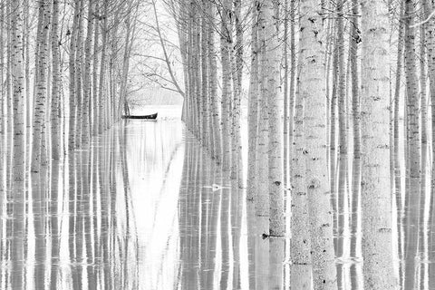 Free Movement Black Ornate Wood Framed Art Print with Double Matting by Simone, Aglioni