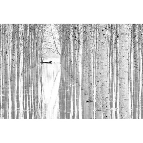 Free Movement Black Modern Wood Framed Art Print by Simone, Aglioni