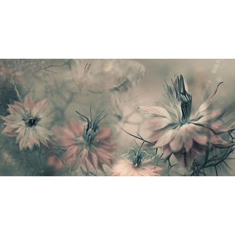 The Virgins Ll Black Modern Wood Framed Art Print with Double Matting by Westum, Heidi