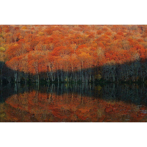 Shadow Fade Away White Modern Wood Framed Art Print by Shibata, Sho