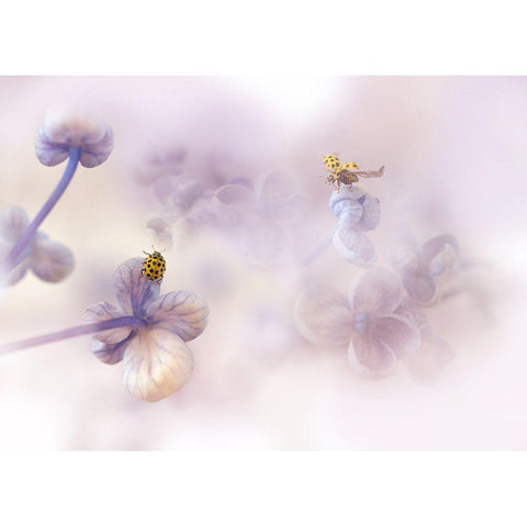 Hello There... White Modern Wood Framed Art Print by Van Deelen, Ellen