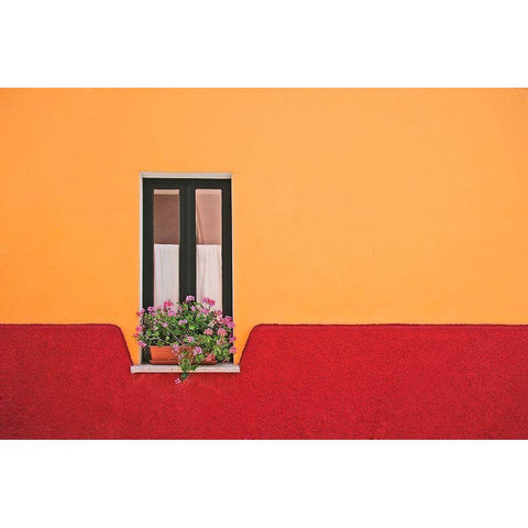 Window Flower White Modern Wood Framed Art Print by Endermann, Rolf