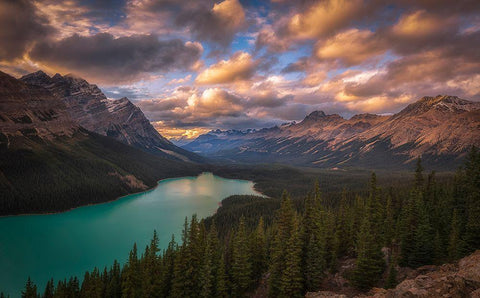 Peyto Lake At Dusk Black Ornate Wood Framed Art Print with Double Matting by Zheng, Michael