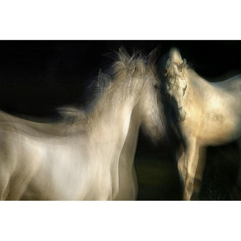 Grace White Modern Wood Framed Art Print by Malovrh, Milan