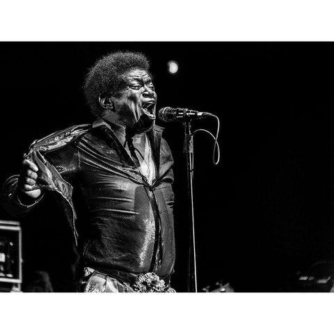 Charles  Bradley  In Memory Black Modern Wood Framed Art Print with Double Matting by Domont, Jois