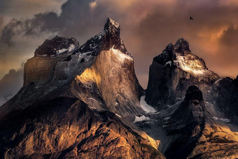 The Horns At Sunrise Black Ornate Wood Framed Art Print with Double Matting by Chen, Vincent