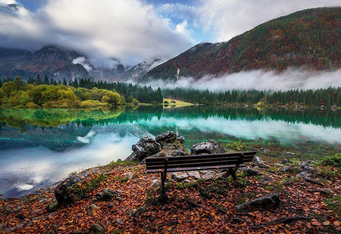 Bench By The Lake Black Ornate Wood Framed Art Print with Double Matting by Krivec, Ales