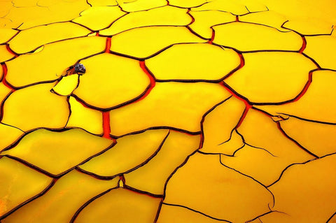 Yellow Ground, Red Heart White Modern Wood Framed Art Print with Double Matting by De Juan, E.